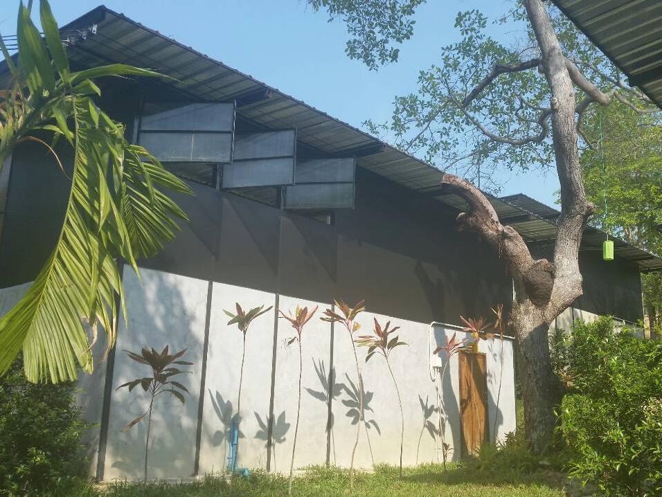 Himmapan Resort Koh Phayam Bagian luar foto