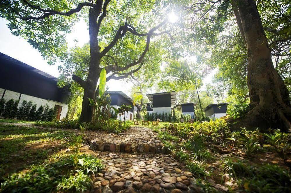 Himmapan Resort Koh Phayam Bagian luar foto